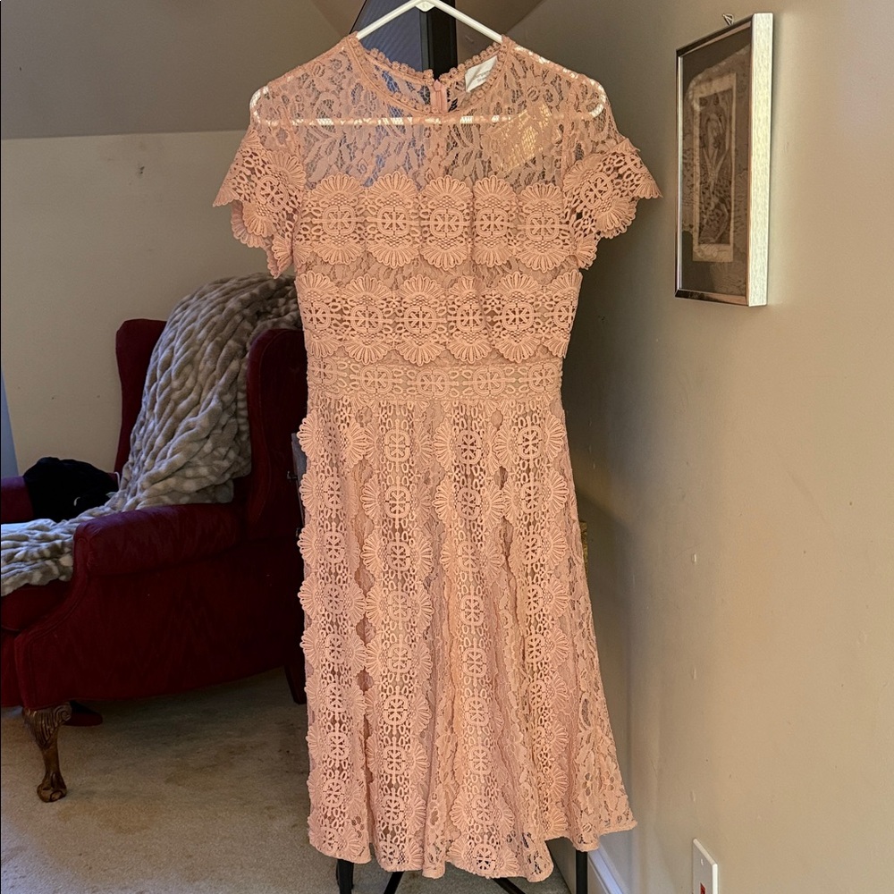 Chic Floral Lace Midi Dress in Blush